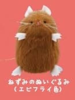 21UiS+r8NWL._AC_UF350,